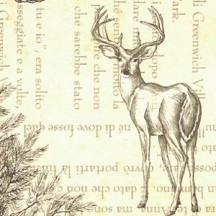 Deer and Tree Script Collage Christmas Print Paper ~ Tassotti Italy